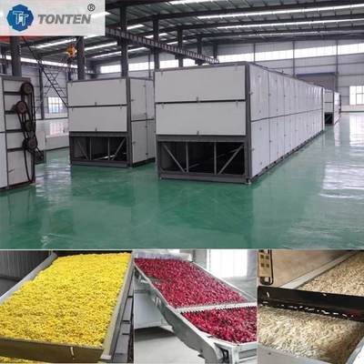 Litchi Apfel Ananas Traubengürtel Trockner Maschine Dehydrator Trockner
