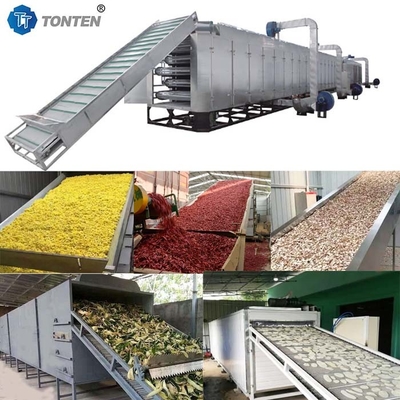 Gemüse-Cassava-Gürtel-Trockner Medizinische Trocknungsmaschine automatisch