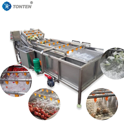 440V Lebensmittelreiniger Industriegemüsewaschmaschine für Oliven Avocado