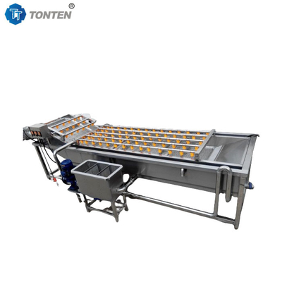 Vollautomatische Blasenwaschmaschine für Obst und Gemüse