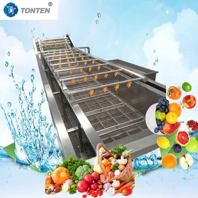 440V Lebensmittelreiniger Industriegemüsewaschmaschine für Oliven Avocado