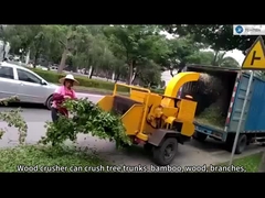 Hölzerne Zerkleinerungsmaschinenmaschine